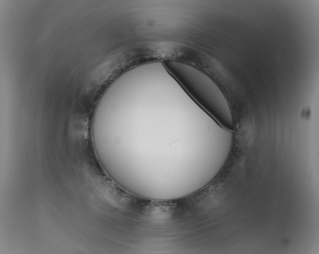 X0000111190368200907151355