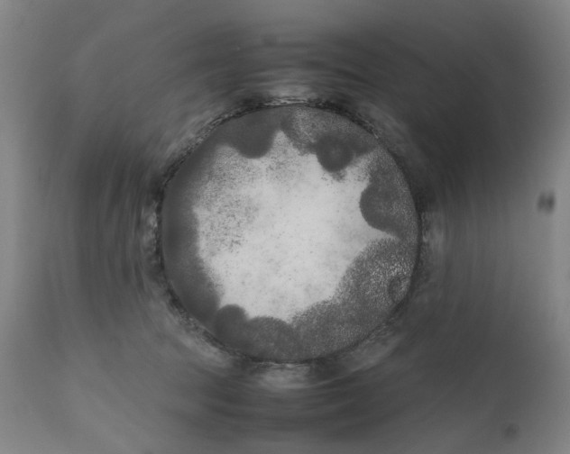 X0000111190369200907151355