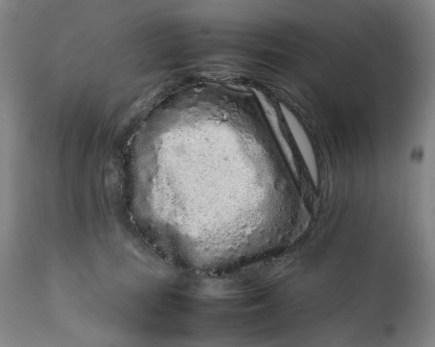 X0000111190371200907151355