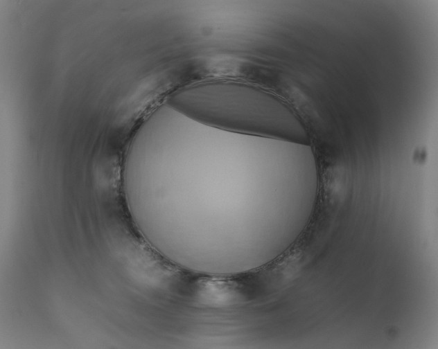 X0000111190372200907151355