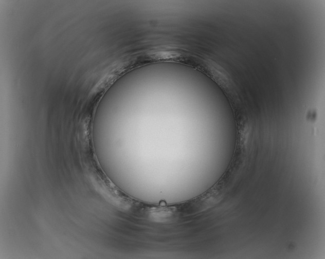 X0000111190373200907151355