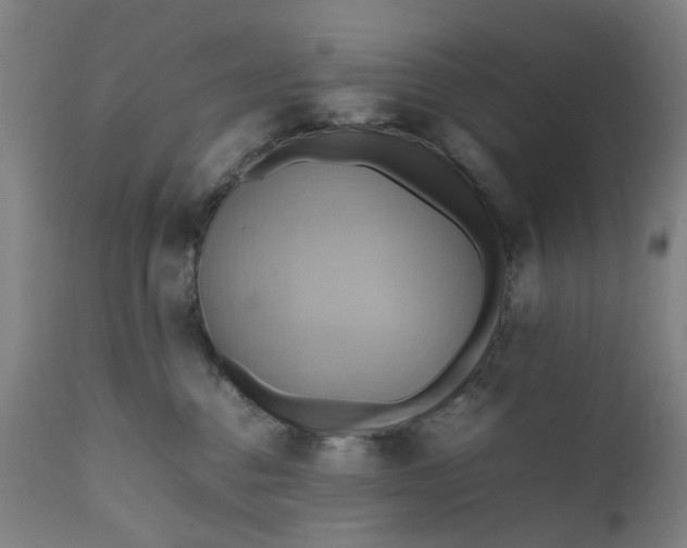 X0000111190376200907151355