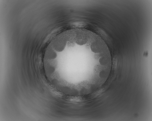 X0000111190377200907151355