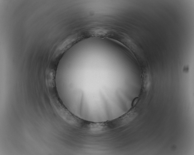 X0000111190378200907151355