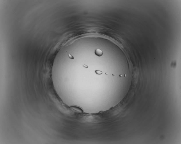 X0000111190379200907151355