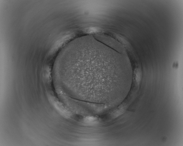 X0000111190380200907151355