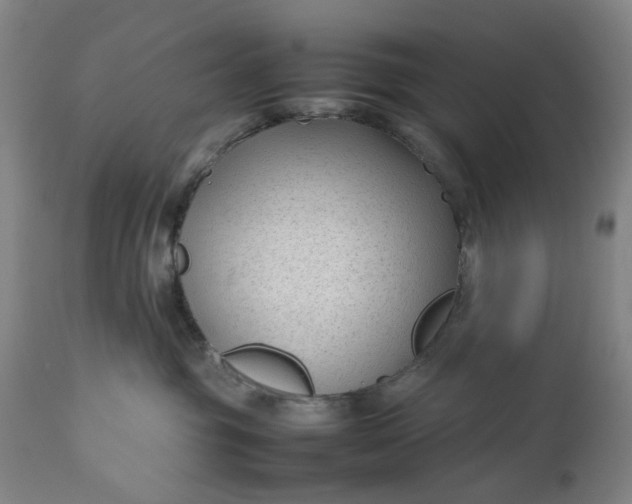 X0000111190381200907151355