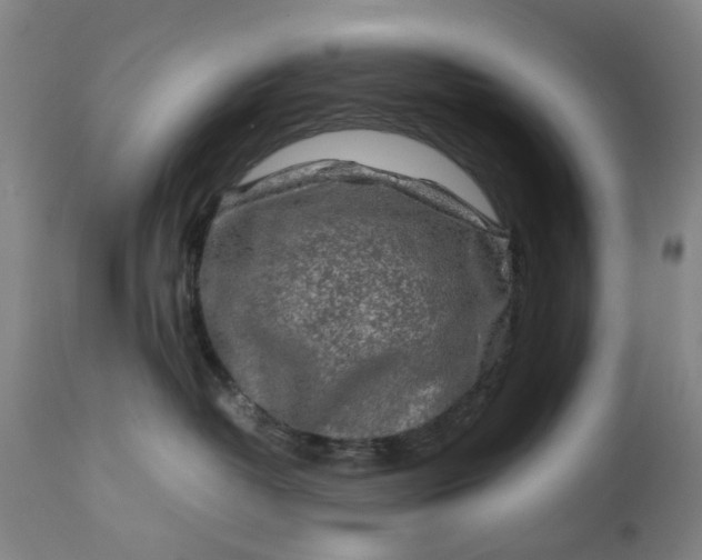 X0000111190382200907151355