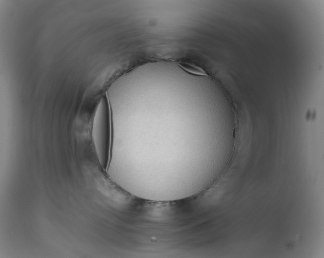 X0000111190384200907151355