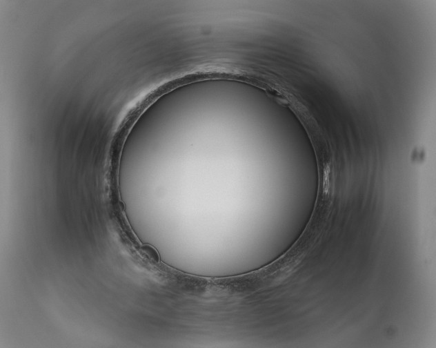 X0000111190388200907151354