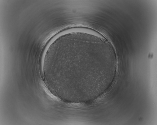 X0000111190389200907151354