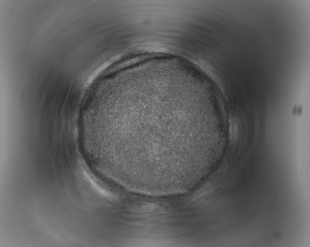 X0000111190390200907151354