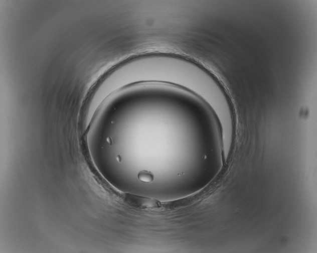 X0000111190391200907151354