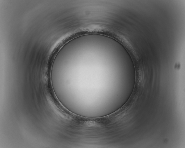 X0000111190392200907151354