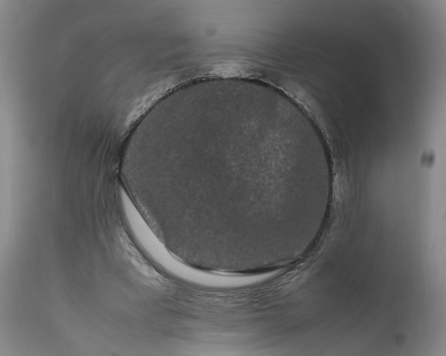 X0000111190393200907151354