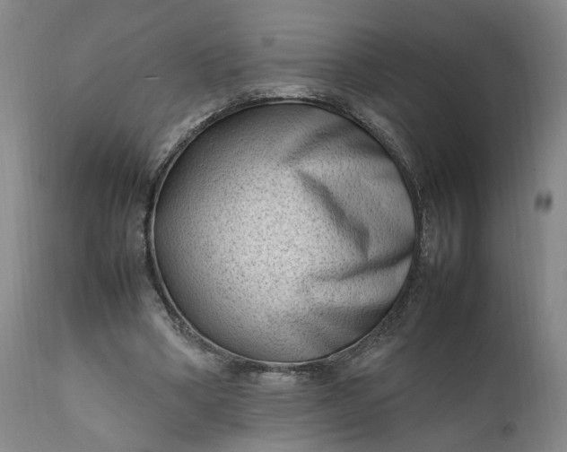 X0000111190394200907151354