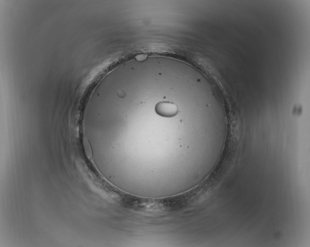 X0000111190395200907151354