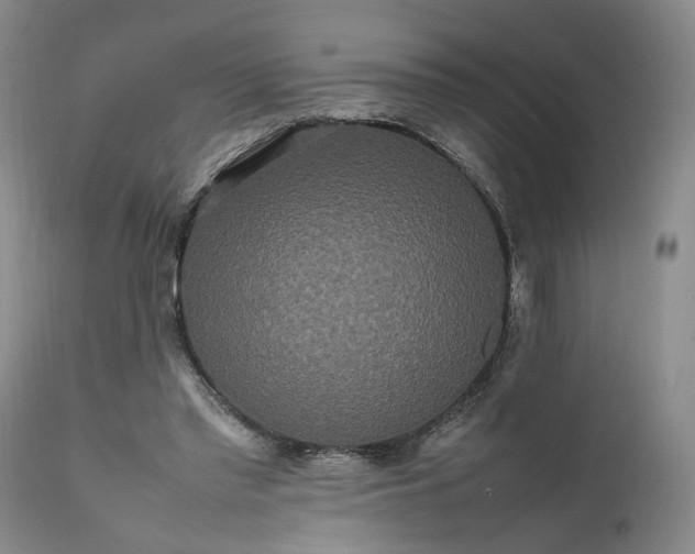 X0000111190397200907151354