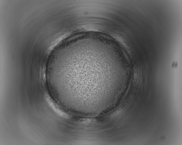 X0000111190398200907151354