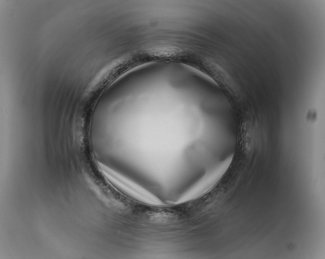 X0000111190400200907151354