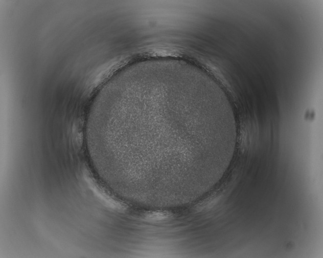 X0000111190402200907151354