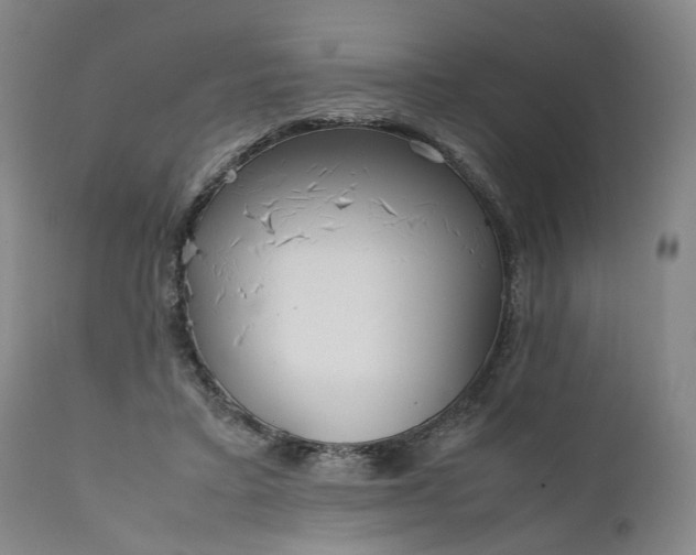 X0000111190403200907151354