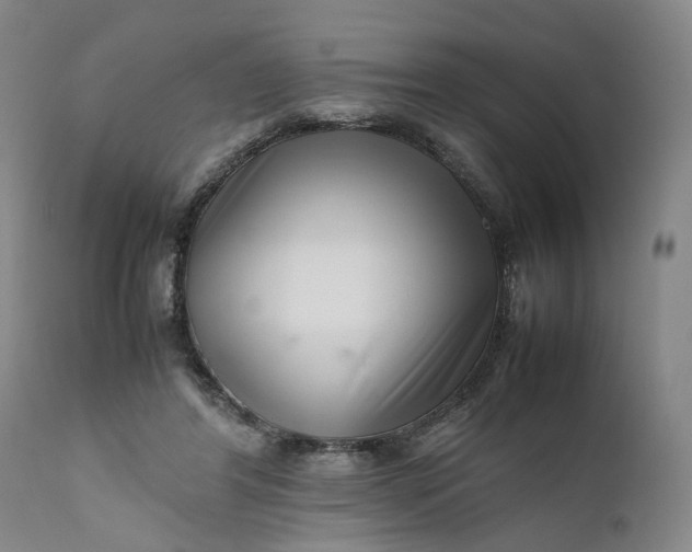 X0000111190404200907151354