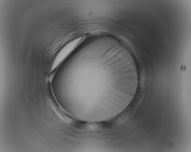 X0000111190405200907151354