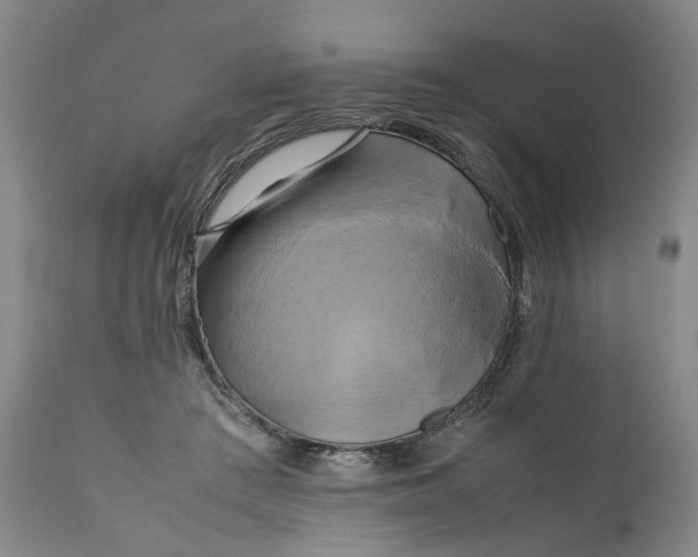 X0000111190409200907151354