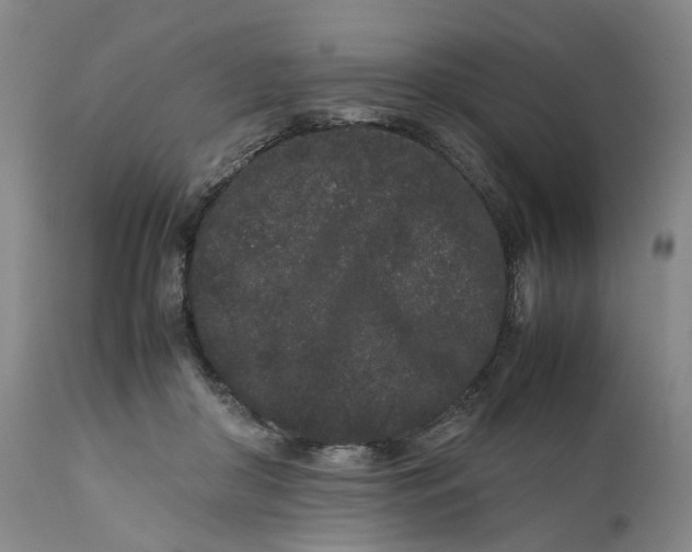 X0000111190410200907151354