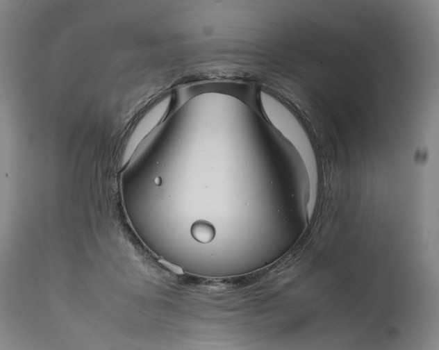 X0000111190411200907151354