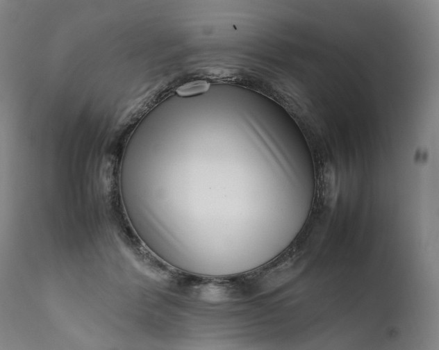 X0000111190412200907151354