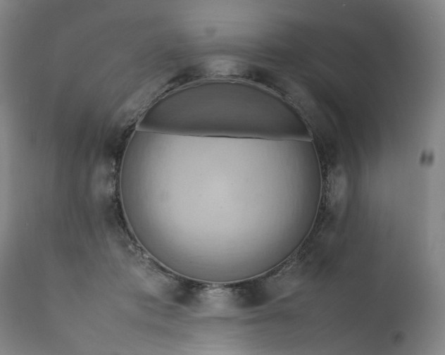 X0000111190413200907151354