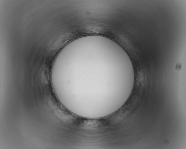 X0000111190414200907151354