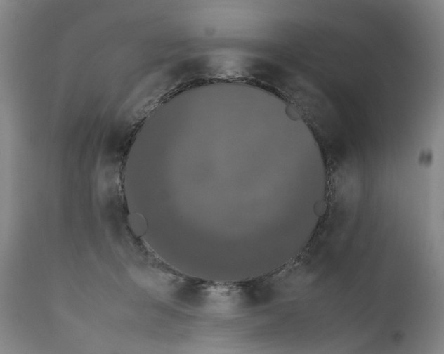 X0000111190415200907151354