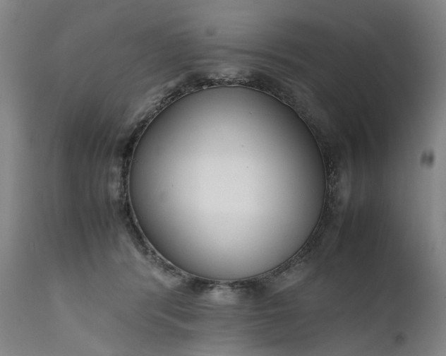 X0000111190416200907151354