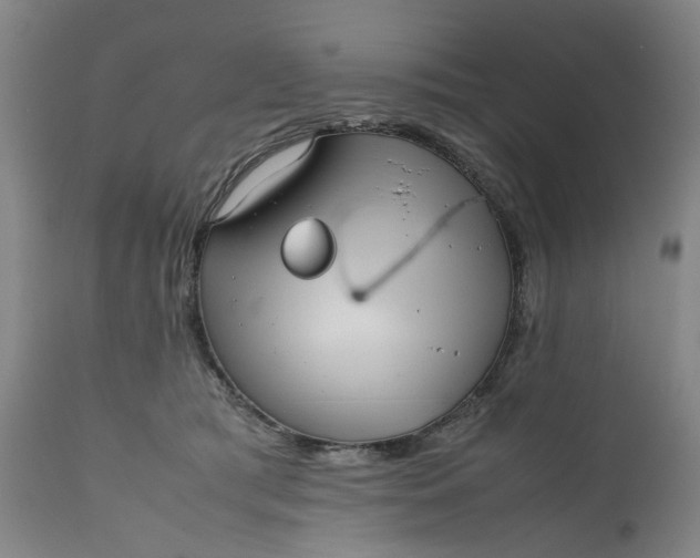 X0000111190417200907151354