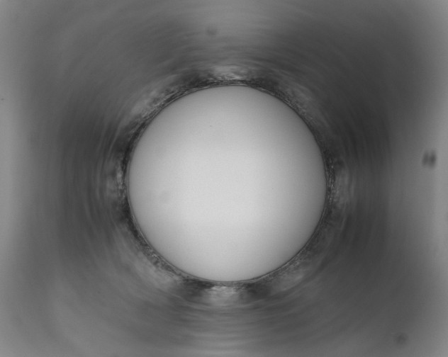 X0000111190418200907151354