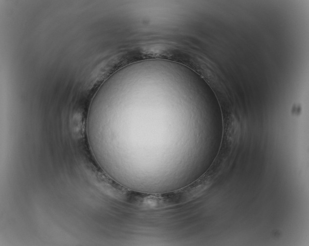 X0000111190420200907151354