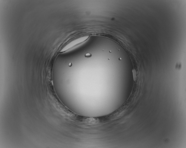 X0000111190421200907151354