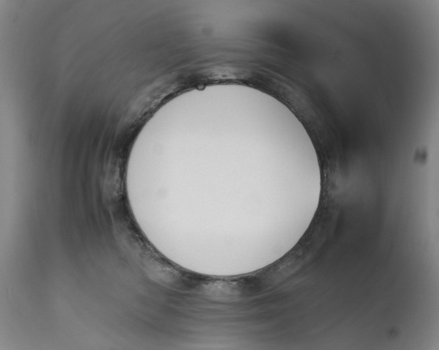 X0000111190422200907151354