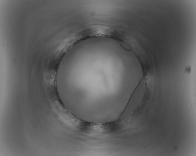 X0000111190423200907151354