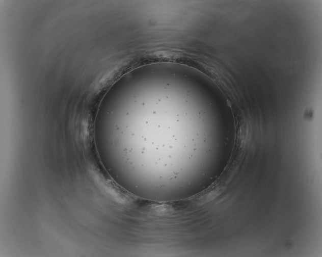 X0000111190424200907151354