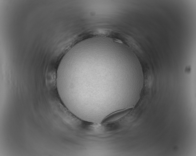 X0000111190425200907151354