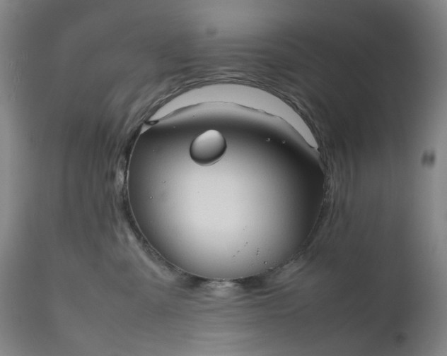 X0000111190427200907151354