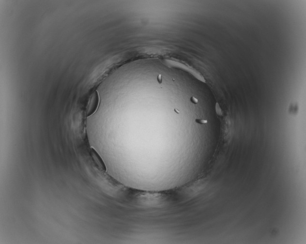 X0000111190428200907151354