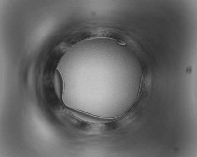 X0000111190429200907151354