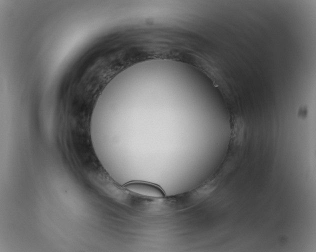 X0000111190430200907151354