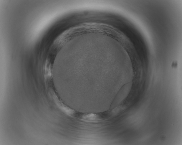 X0000111190431200907151354