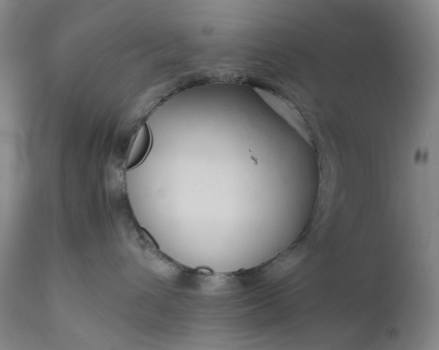 X0000111190432200907151354